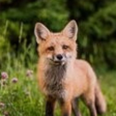 Michael H. - Freelance Blockchain Developer