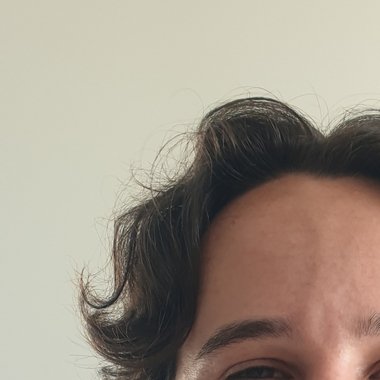 Tom P. - Freelance Animator