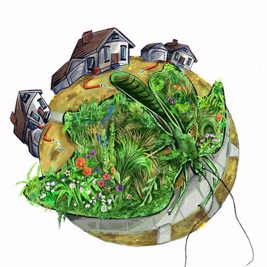 Natalie C. - Freelance Designer