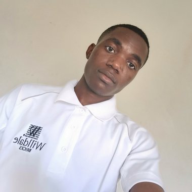 Lewis W. - Freelance Developer