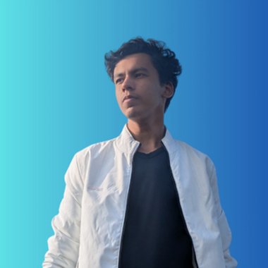 Punyasish - Freelance Digital Marketer