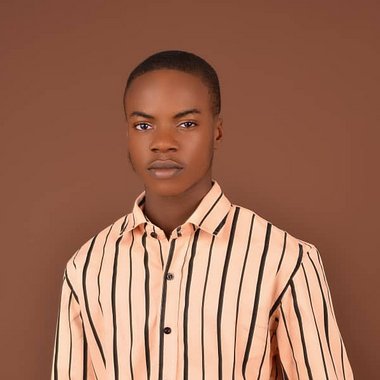 Akinwale A. - Freelance Data Analyst