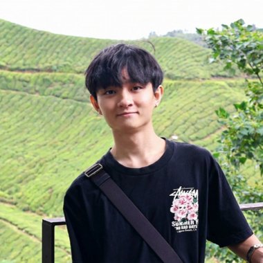 WONG S. - Freelance Web Developer