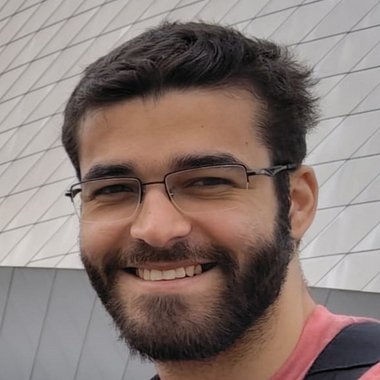 Domenico C. - Freelance Developer