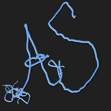 Amanda - Freelance Ux Designer