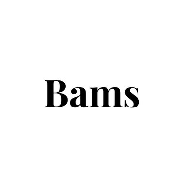 Bams - Freelance 2d Animator