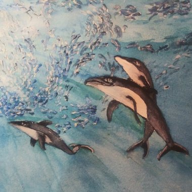 Mighty B. - Freelance Illustrator