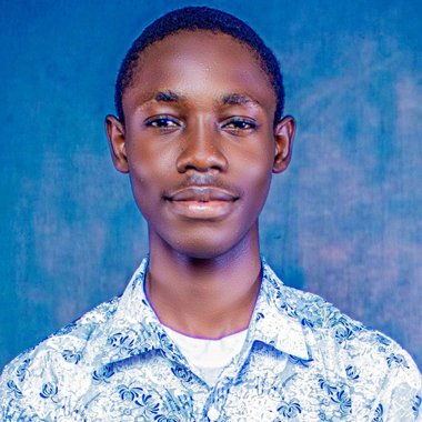Adesina O. - Freelance Web Developer