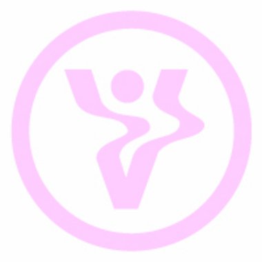 Sylvain L. - Freelance Developer