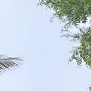 Yashwant P. - Freelance Database Developer