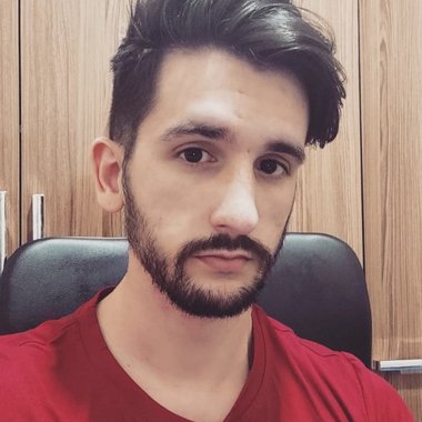 Igor P. - Freelance Developer
