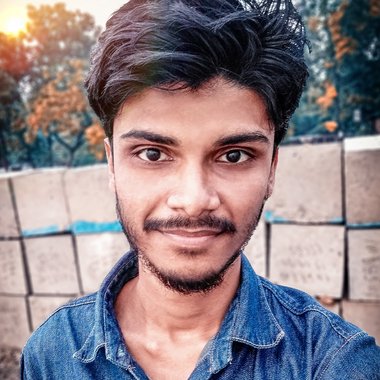 Fardin M. - Freelance Digital Marketer