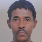 Bekalu mehari