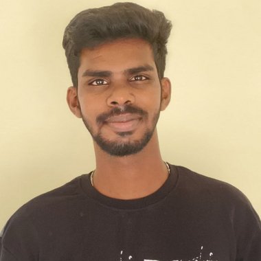 Pravin D. - Freelance Web Developer