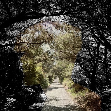 Brycen D. - Freelance Music Composer