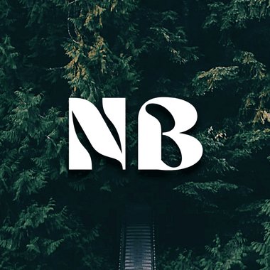 Nithin B. - Freelance Ui Designer