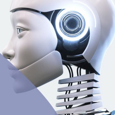 Sujoy C. - Freelance Blockchain Developer