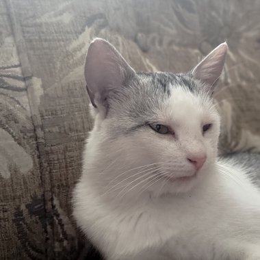 Sasha - Freelance Web Designer