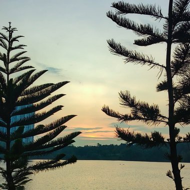 Yi X. - Freelance Video Editor