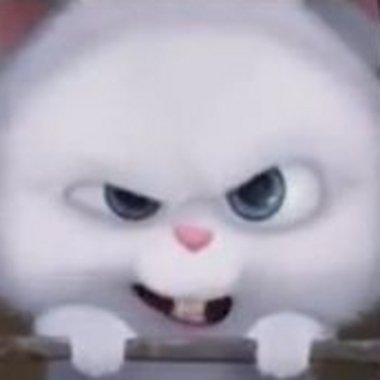 Luca T. - Freelance Web Developer