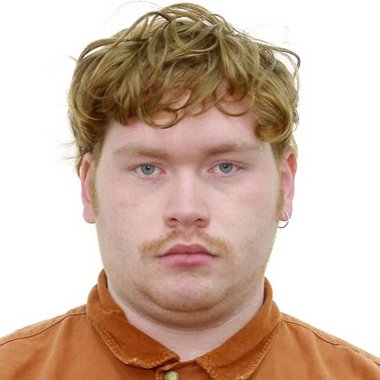 Daniel L. - Freelance Content Creator