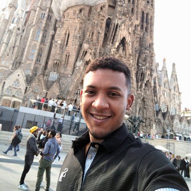 Samir m. - Freelance Ai Strategy Consultant