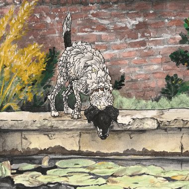 Azize H. - Freelance Animation Director