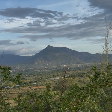 Moon - Freelance Web Designer