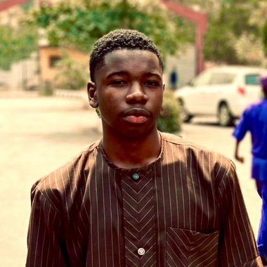 Emeka N. - Freelance Web Developer