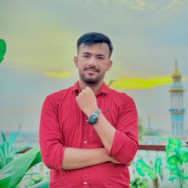 Talha S. - Freelance Link Building Specialist