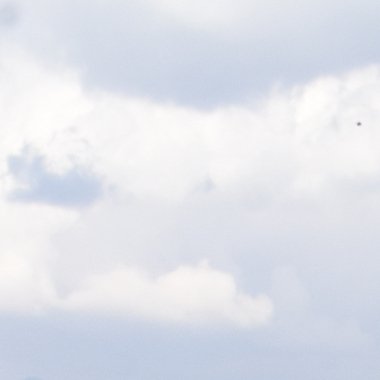 Raj G. - Freelance Art Director