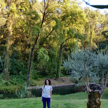 Brigida M. - Freelance Freelance Digital Illustrator