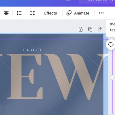 CriticalArtist - Freelance T Shirt Designer