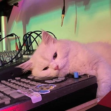 PHYO N. - Freelance Mastering Engineer