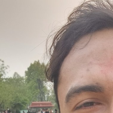 Anish S. - Freelance Web Developer