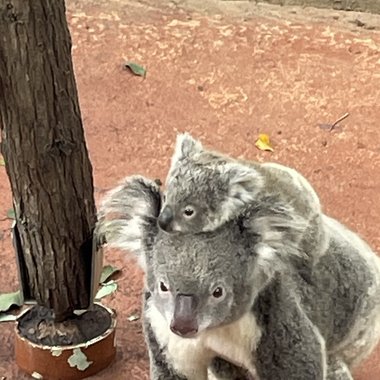 Smriti - Freelance Content Creator