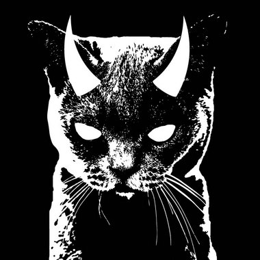 Tracy H. - Freelance Brand Designer