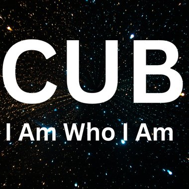 Cub - Freelance Songwriter