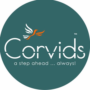 Corvids I. - Freelance Ecommerce Developer