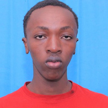 Henry F. - Freelance Data Annotator