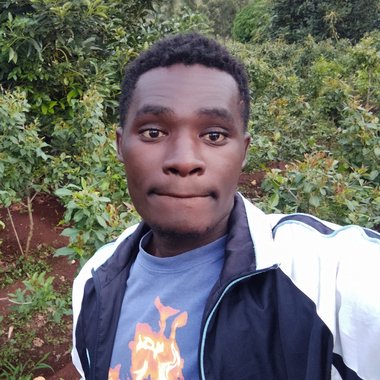 crazysquad - Freelance Digital Marketer