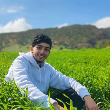 Walid B. - Freelance Web Developer