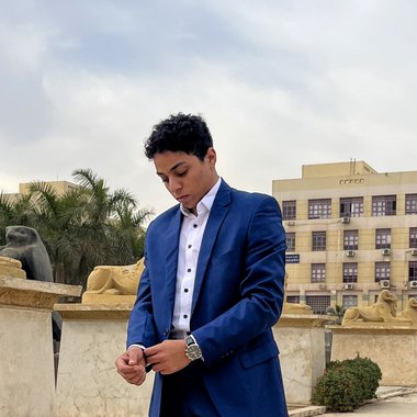 Ahmed M. - Freelance Presentation Designer