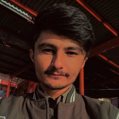 Dilip C. - Freelance Database Developer