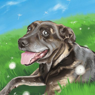 Grace W. - Freelance Illustrator