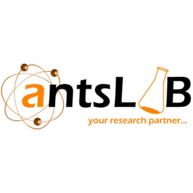 Ants L. - Freelance Bassist