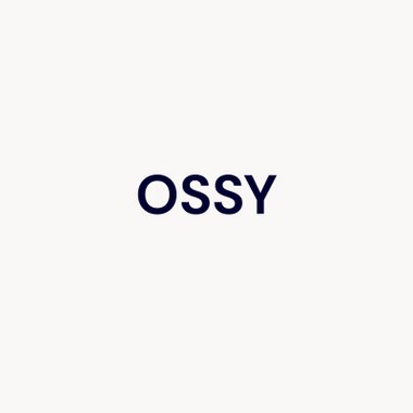Ossy - Freelance Ai Strategy Consultant
