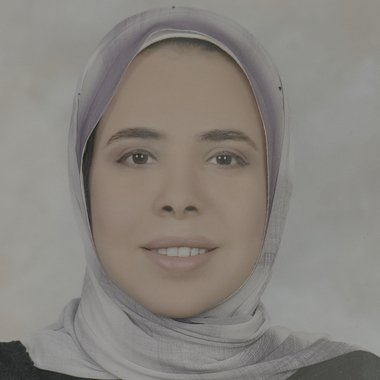Alaa E. - Freelance Ai Engineer