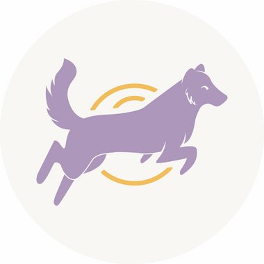 Tea C. - Freelance Project Manager