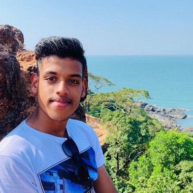 Alroy F. - Freelance Web Developer